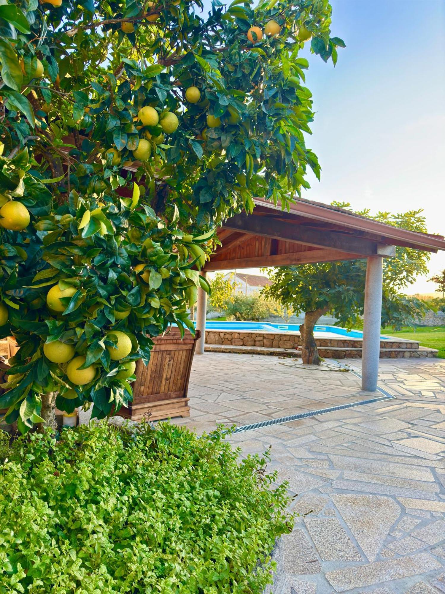 Villa Quinta Do Nobre Marialva Exterior foto